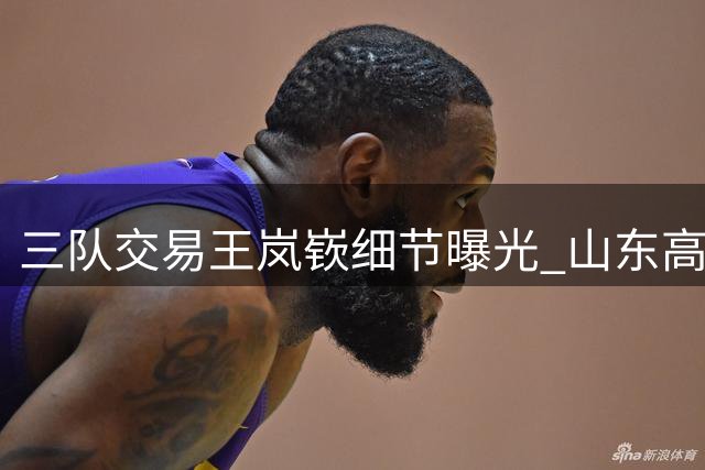 三队交易王岚嵚细节曝光 山东高薪引进家乡球员